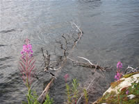 2006-08-02 20-20-52_0236.jpg (124kb)